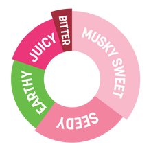 Load image into Gallery viewer, DaVinci Gourmet - Pink Guava