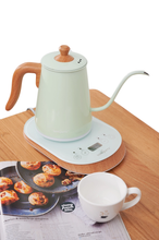 Load image into Gallery viewer, Nanyan Electric Drip Kettle