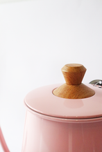 Load image into Gallery viewer, Nanyan Electric Drip Kettle