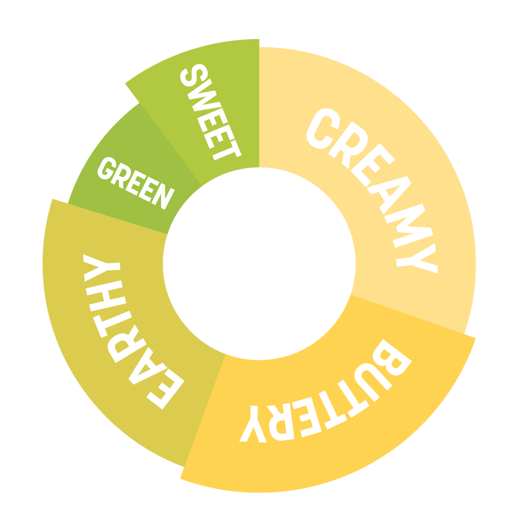 DaVinci Gourmet - Avocado Powder