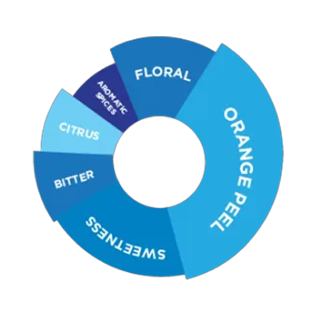 DaVinci Gourmet Blue Ocean Syrup 750ml