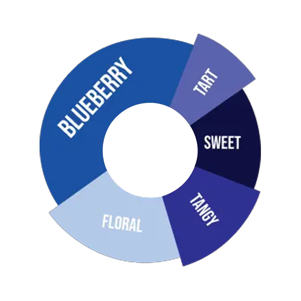 [25% OFF] DaVinci Gourmet Blueberry Syrup 750ml