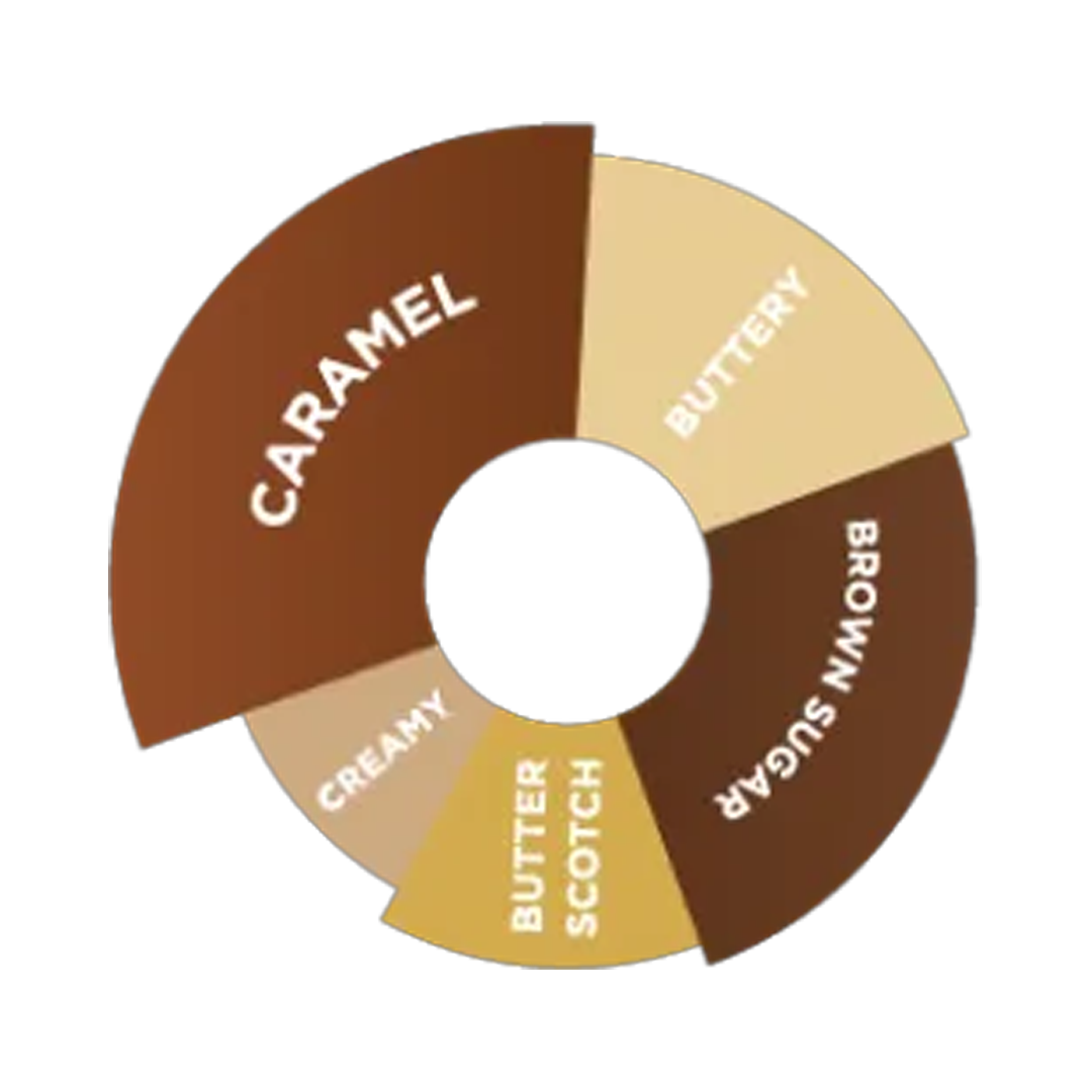 DaVinci Gourmet Caramel Flavoured Sauce 2L