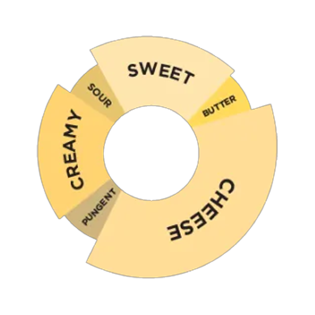 DaVinci Gourmet Cheese Cake Flavoured Sauce 2L