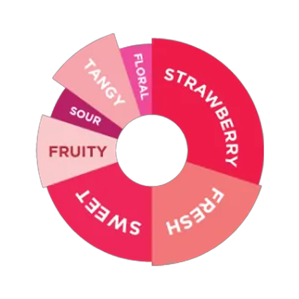 DaVinci Gourmet European Strawberry Syrup 750ml