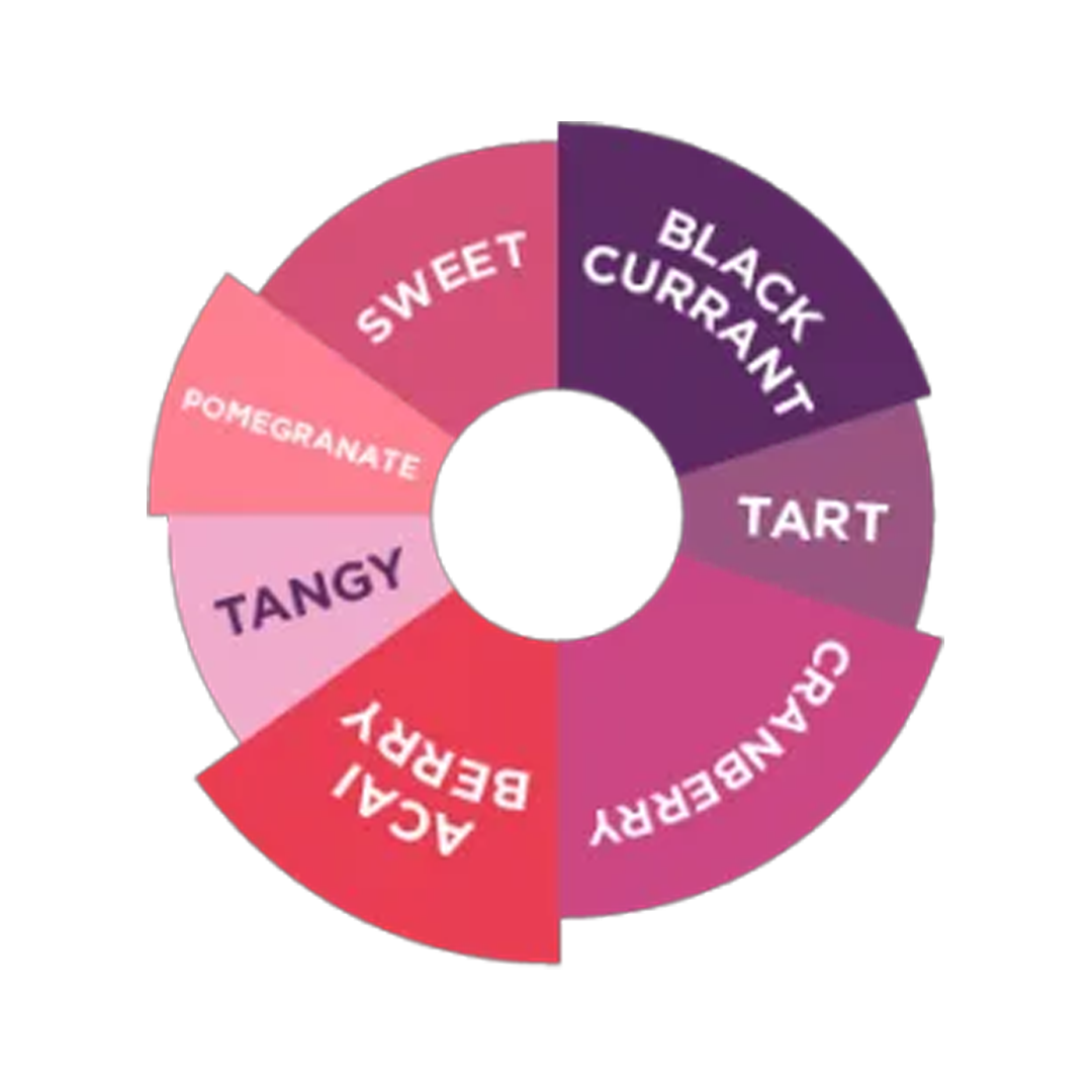 DaVinci Gourmet Forest Berries Syrup 750ml