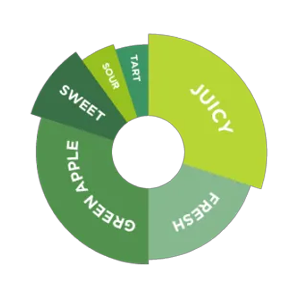 DaVinci Gourmet Green Apple Campagna Syrup 750ml