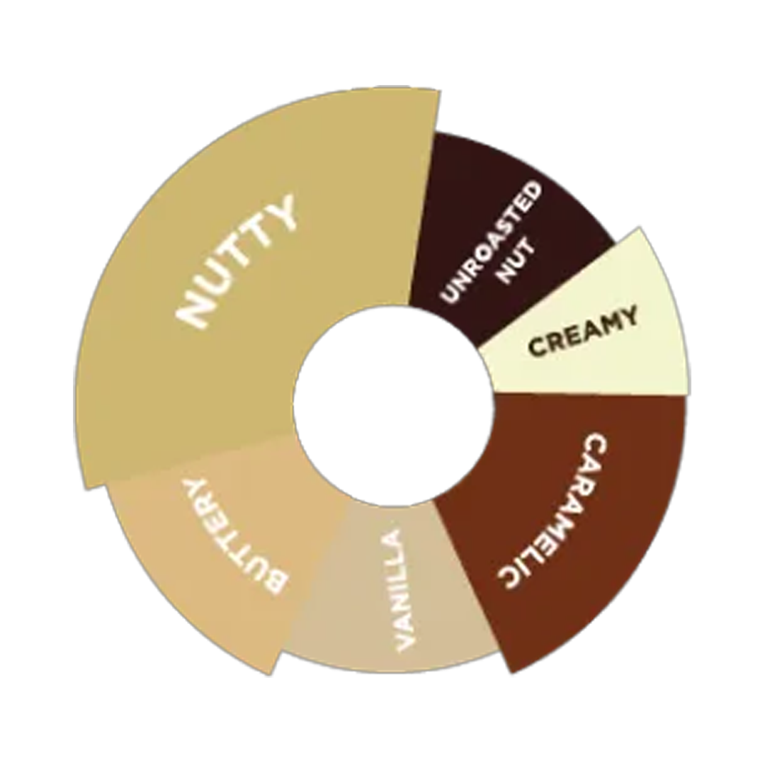 DaVinci Gourmet - Hazelnut