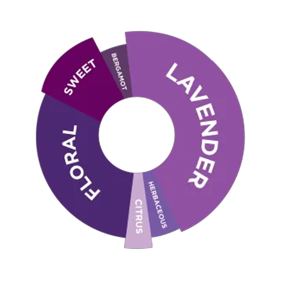 DaVinci Gourmet Lavender Syrup 750ml