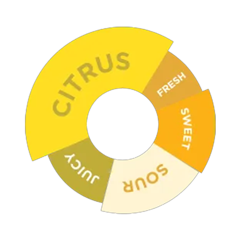 [25% OFF] DaVinci Gourmet Lemonade Base Syrup 1L