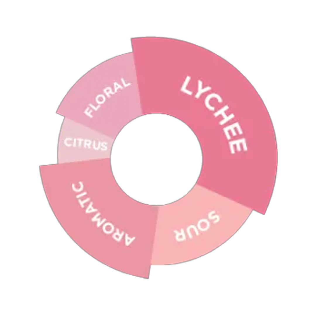 DaVinci Gourmet Fragrant Lychee Syrup 750ml