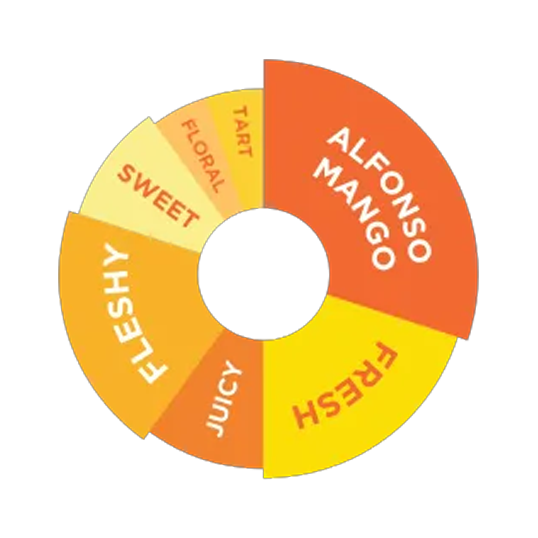 DaVinci Gourmet - Mango