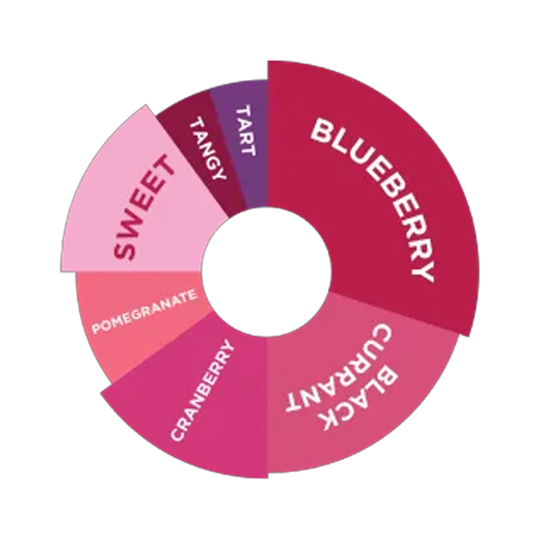 DaVinci Gourmet - Mixed Berry