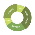 [50% OFF] DaVinci Gourmet Pandan Flavoured Sauce 1L