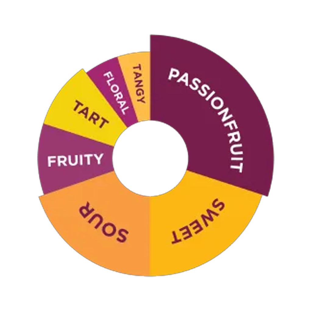 DaVinci Gourmet Passionfruit Fruit Mix 1L