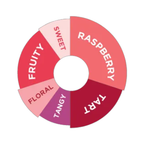 DaVinci Gourmet Raspberry Rhapsody Syrup 750ml