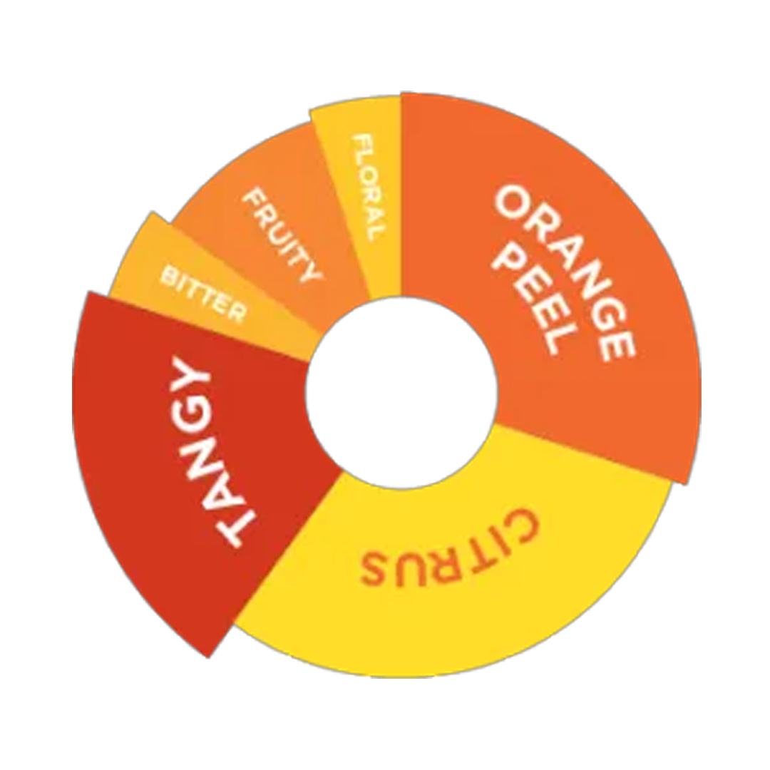 DaVinci Gourmet Tropical Passionfruit Syrup 750ml