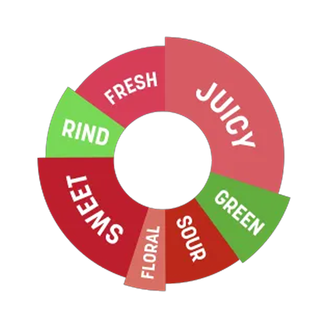 DaVinci Gourmet Watermelon Wonder Syrup 750ml