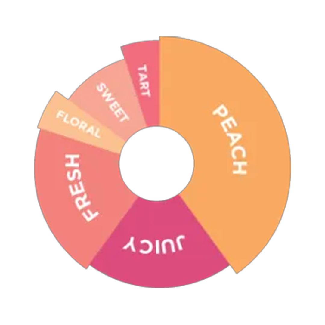 DaVinci Gourmet Peach Garden Syrup 750ml