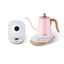 Load image into Gallery viewer, Nanyan Electric Drip Kettle
