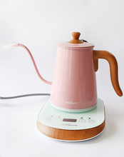 Load image into Gallery viewer, Nanyan Electric Drip Kettle
