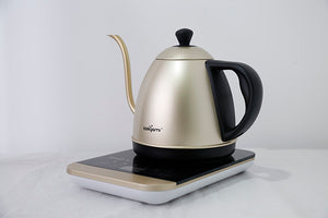 Electric S/S Drip Kettle